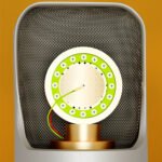 Studio Microphone Vocal Instrument - Image 4