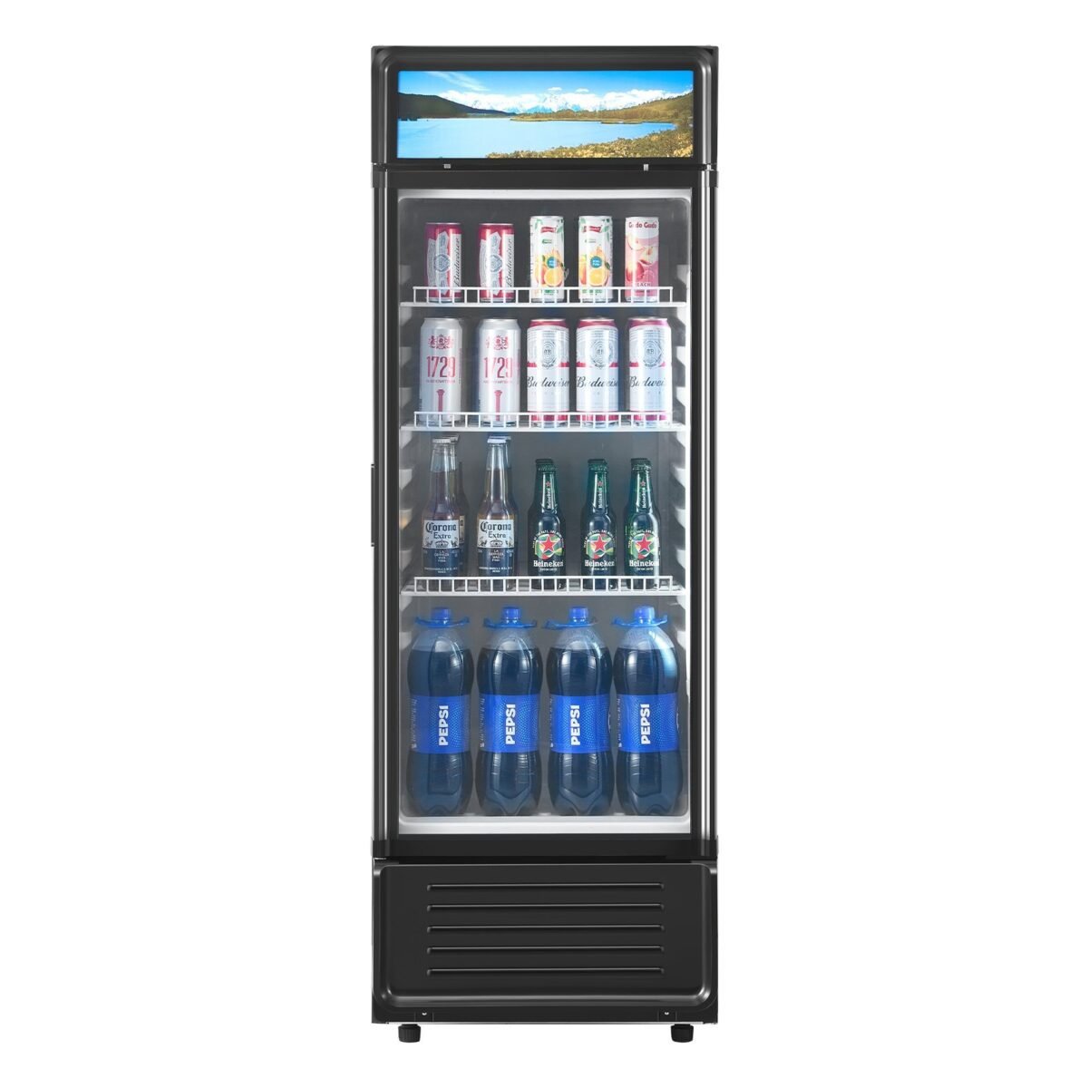 Commercial Merchandiser Refrigerator 6.9 CU.FT Glass Door Beverage Refrigerator - Image 5