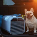 Outdoor Air Conditioner Portable All In One Machine - Image 4