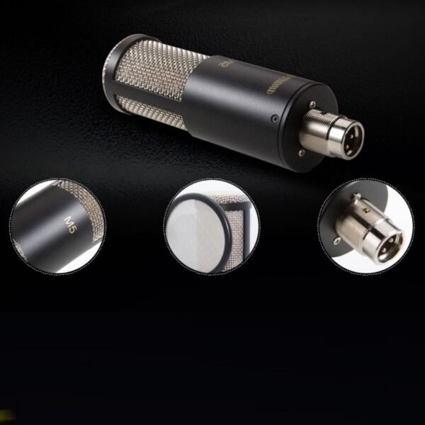 Professional Condenser Microphone Recording Live Dubbing